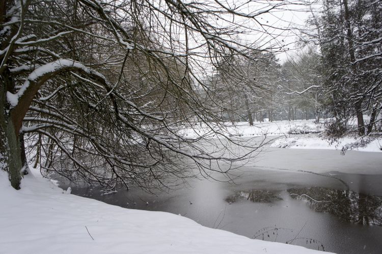 Fonds d'cran Nature Saisons - Hiver La beauté du paysage sous la neige. 