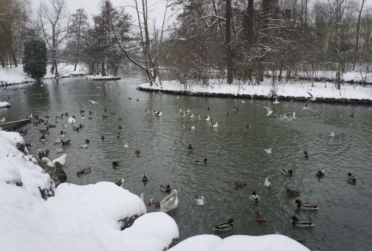 Fonds d'cran Nature Saisons - Hiver La beauté du paysage sous la neige. 