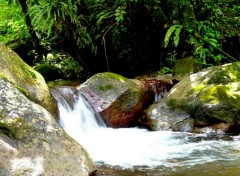  Nature tropical river