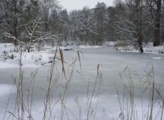  Nature La beauté du paysage sous la neige. 