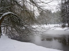  Nature La beauté du paysage sous la neige. 