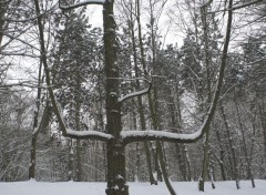  Nature La beauté du paysage sous la neige. 