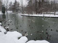  Nature La beauté du paysage sous la neige. 