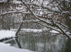  Nature La beauté du paysage sous la neige. 