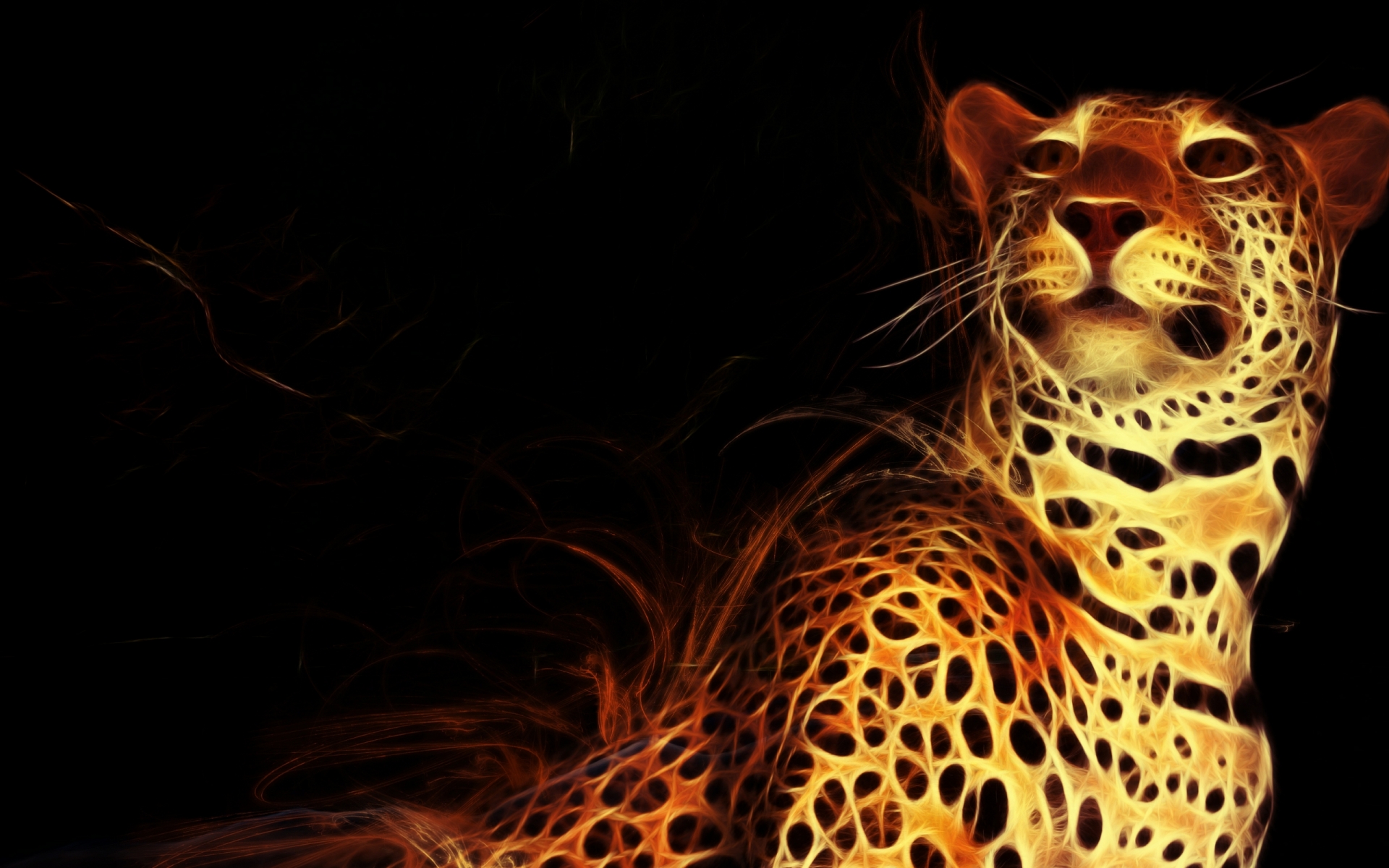 Wallpapers Digital Art Animals 