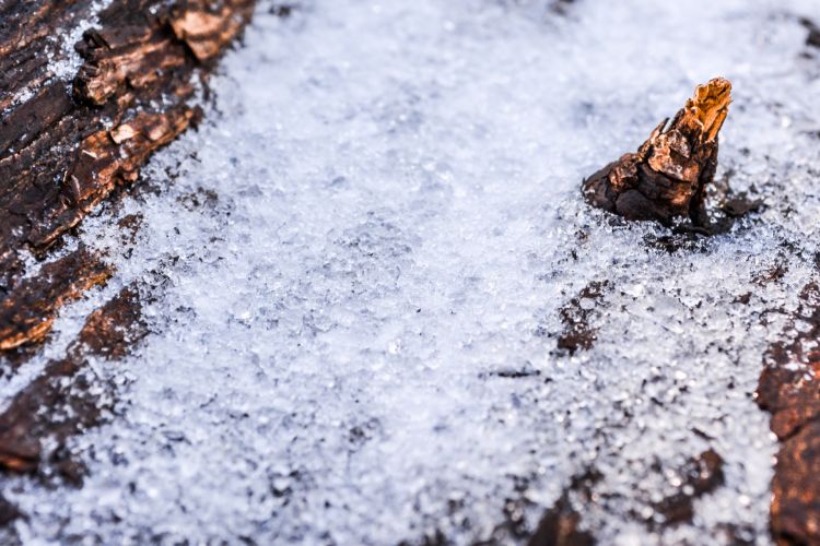 Fonds d'cran Nature Saisons - Hiver Petite neige sur bûche