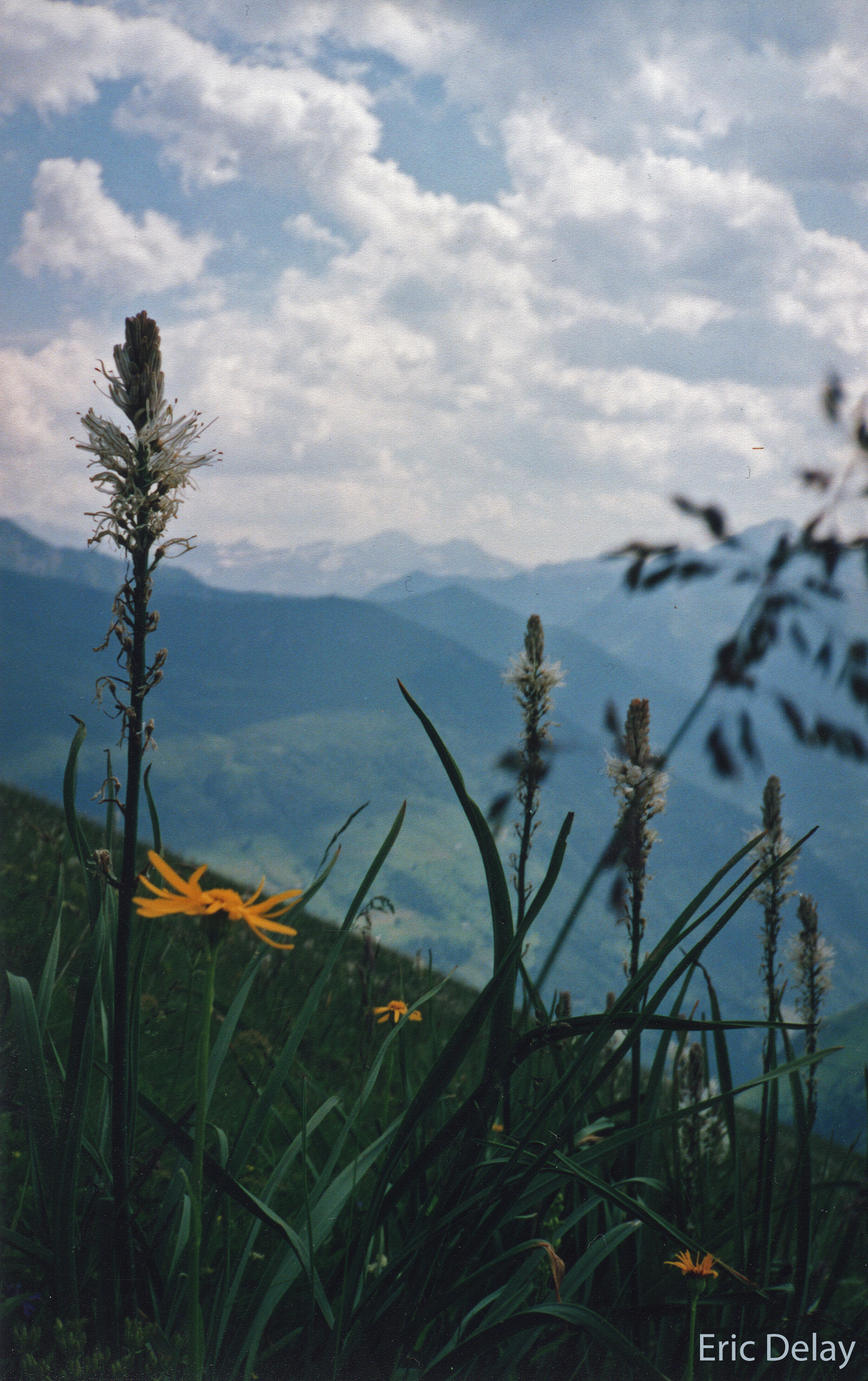 Fonds d'cran Nature Montagnes 