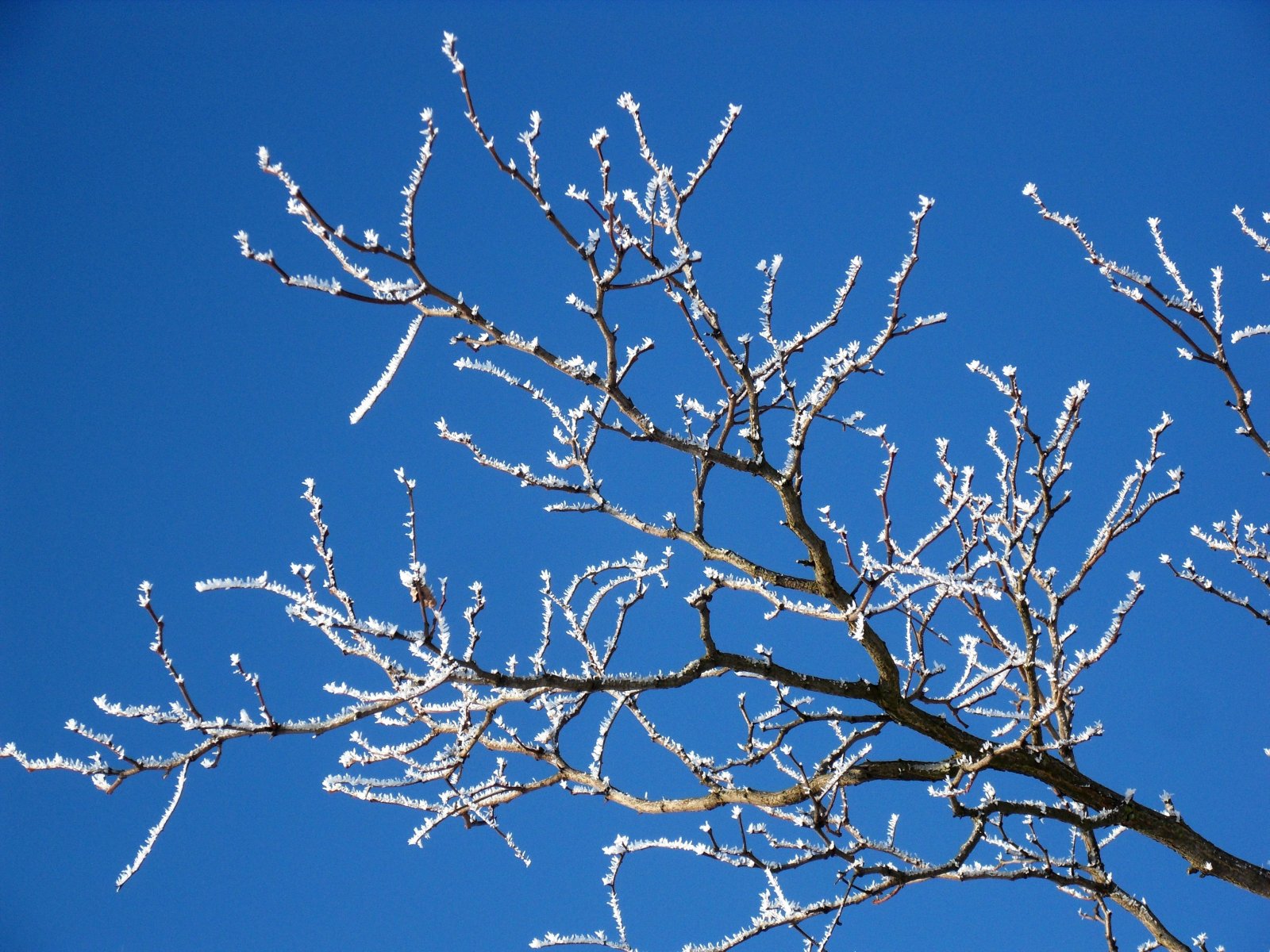 Fonds d'cran Nature Saisons - Hiver 