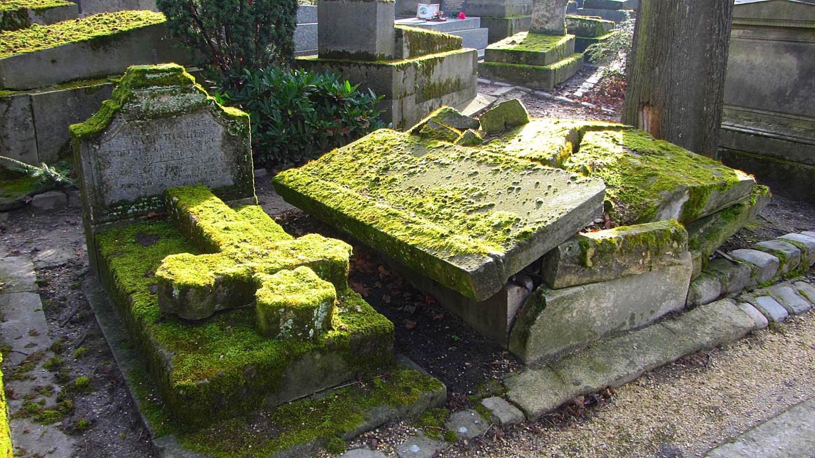 Fonds d'cran Constructions et architecture Cimetires le cimetière du Père Lachaise