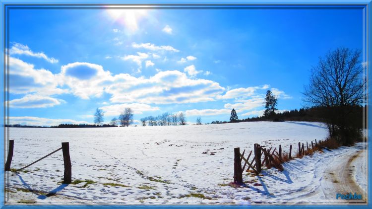 Fonds d'cran Nature Champs - Prairies Wallpaper N332331