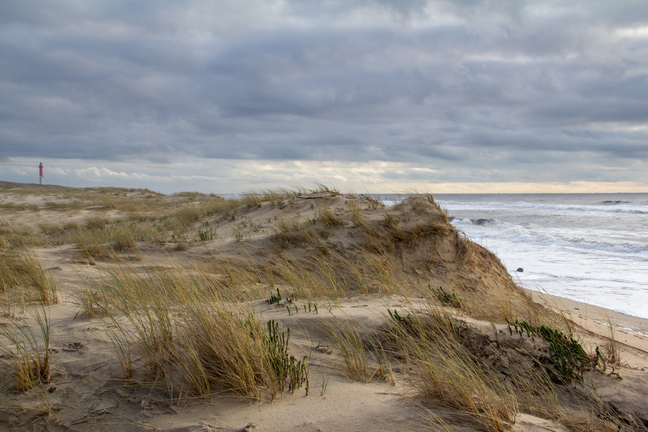 Wallpapers Nature Seas - Oceans - Beaches la dune