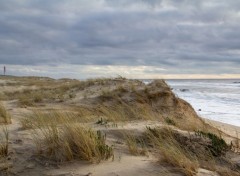  Nature la dune