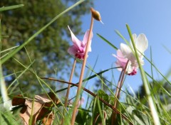  Nature Campagne