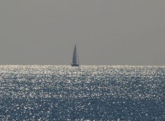  Boats VOILIER DANS LA BAIE DE ST TROPEZ