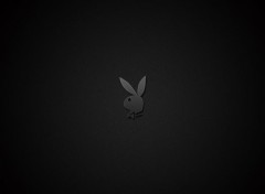  Brands - Advertising PLAYBOY