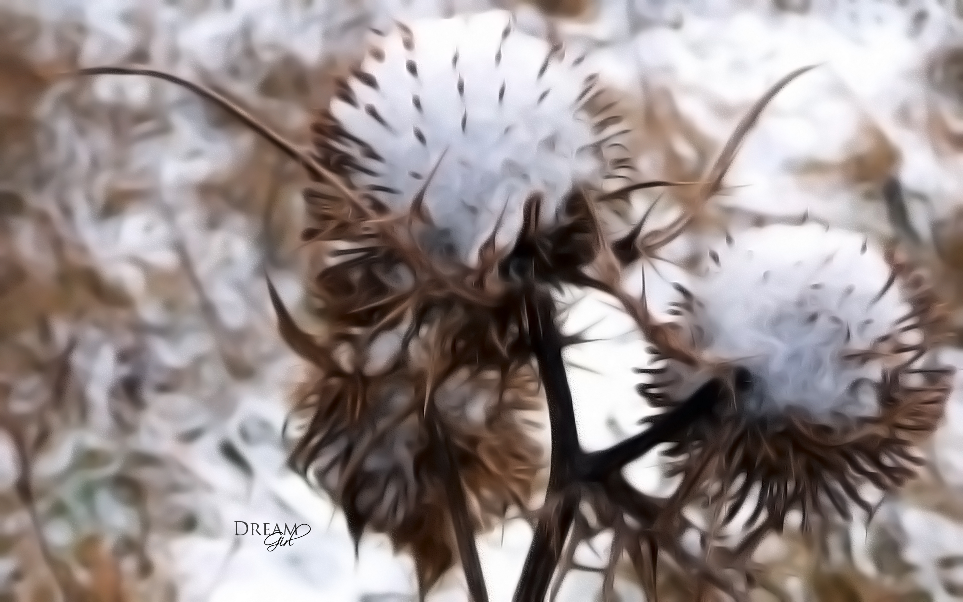 Fonds d'cran Nature Saisons - Hiver 