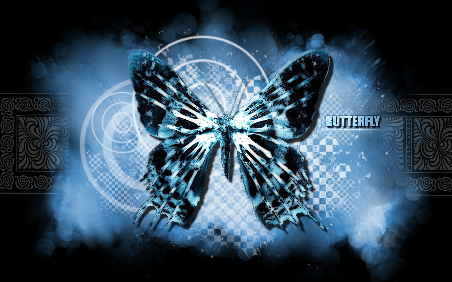 Wallpapers Digital Art Animals Butterfly