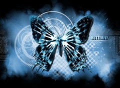  Digital Art Butterfly