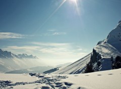  Nature lachat grand bornand le 25 fvrier 2013