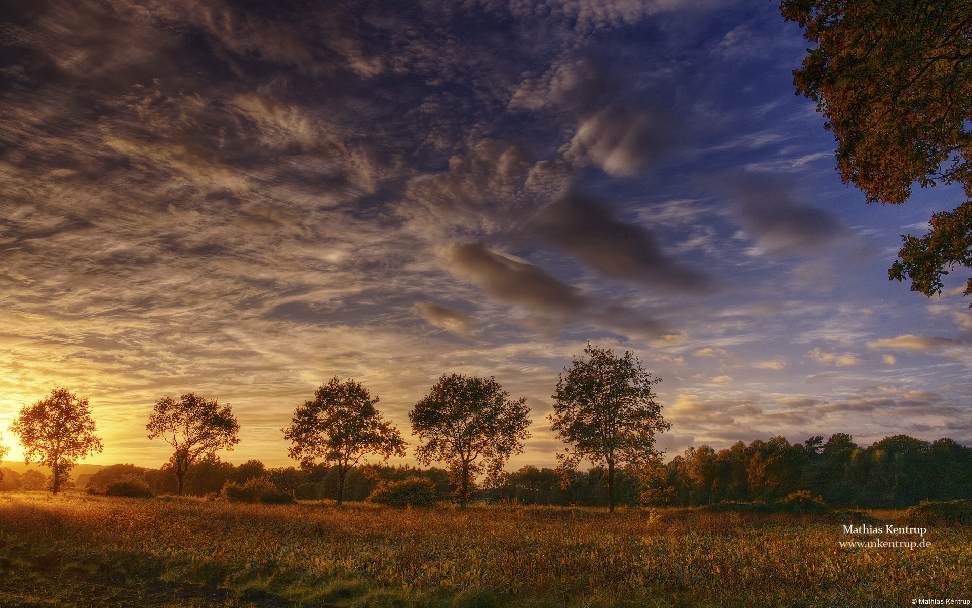 Fonds d'cran Nature Couchers et levers de Soleil 