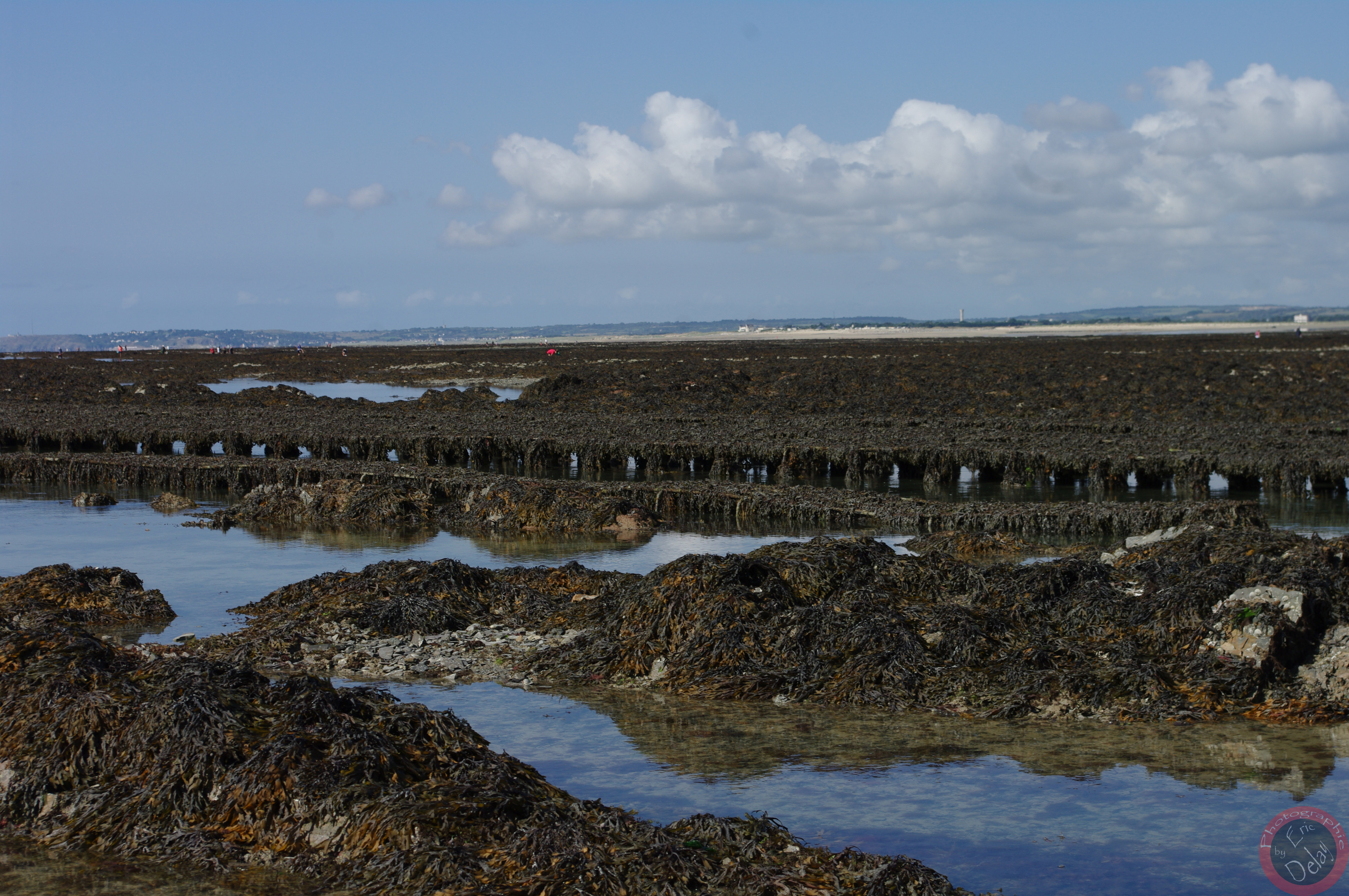 Fonds d'cran Nature Mers - Océans - Plages Plage Normandie (50)