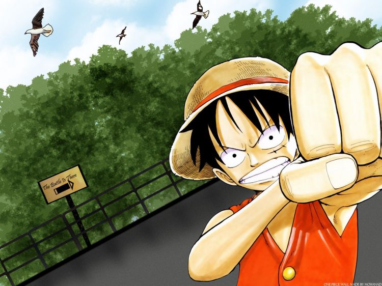 Fonds d'cran Manga One Piece Wallpaper N333399