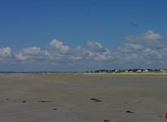  Nature Plage Normandie (50)