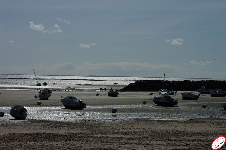 Fonds d'cran Nature Mers - Ocans - Plages Loire Atlantique