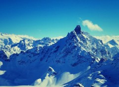  Nature Alpes - Tarentaise