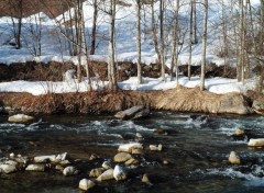  Nature Alpes - Tarentaise