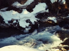  Nature Alpes - Tarentaise