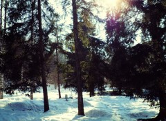  Nature Alpes - Tarentaise