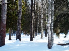  Nature Alpes - Tarentaise