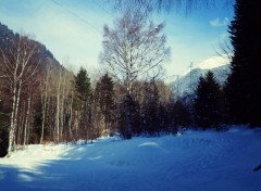  Nature Alpes - Tarentaise