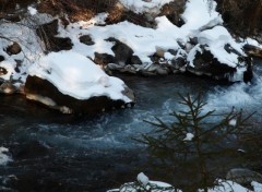  Nature Alpes - Tarentaise