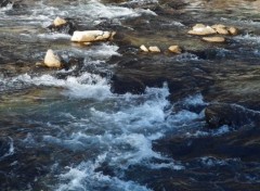  Nature Alpes - Tarentaise