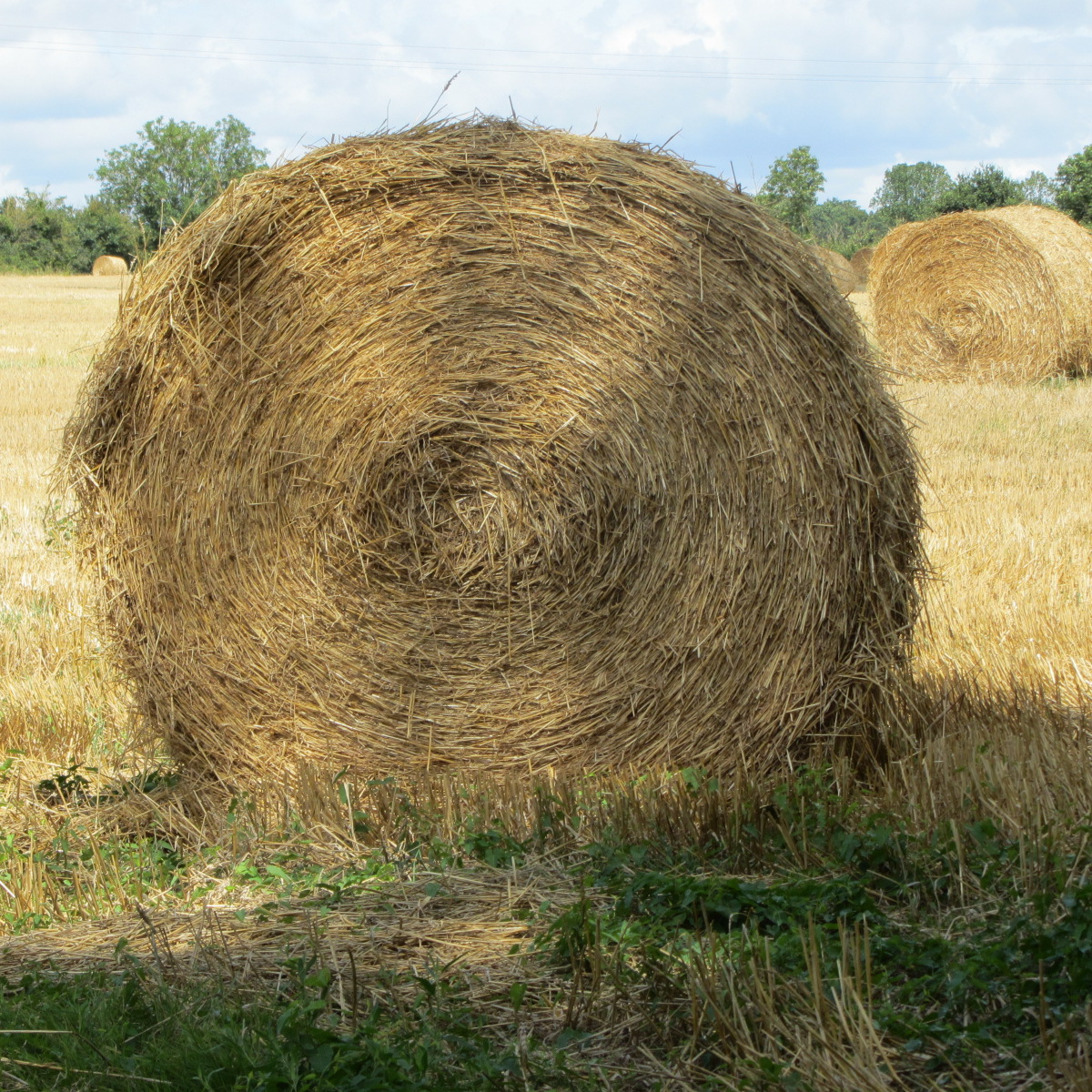 Fonds d'cran Nature Champs - Prairies Les bucoliques