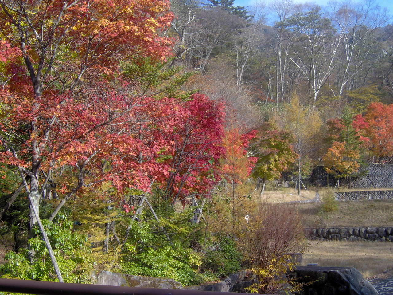 Fonds d'cran Voyages : Asie Japon JAPON