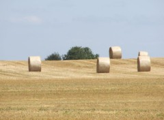  Nature Les bucoliques