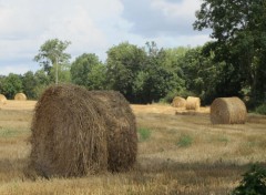  Nature Les bucoliques