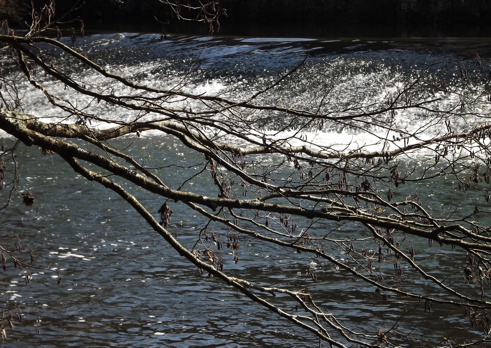 Fonds d'cran Nature Fleuves - Rivires - Torrents la dronne