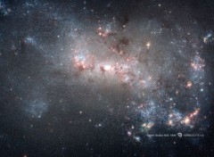  Espace Galaxie naine NGC 4449