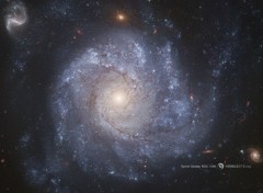  Espace La galaxie spirale NGC 1309