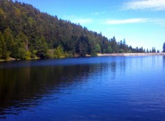  Nature Lac vosgien