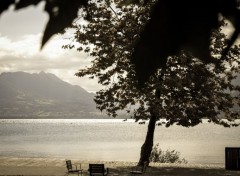  Nature Lac d'annecy - France