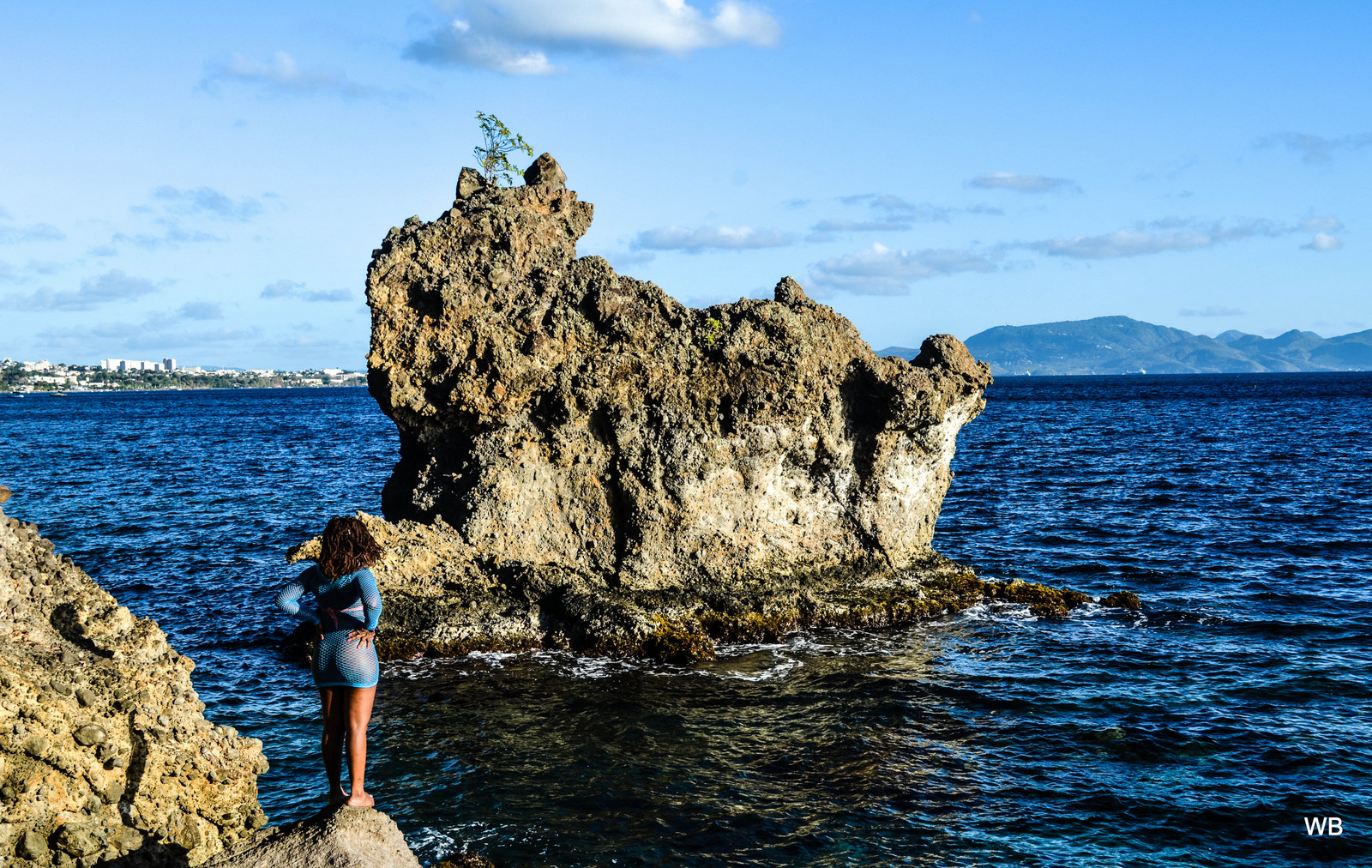 Fonds d'cran Nature Mers - Ocans - Plages panorama des antilles