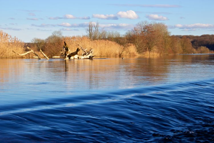 Fonds d'cran Nature Fleuves - Rivires - Torrents Bain de tranquilité