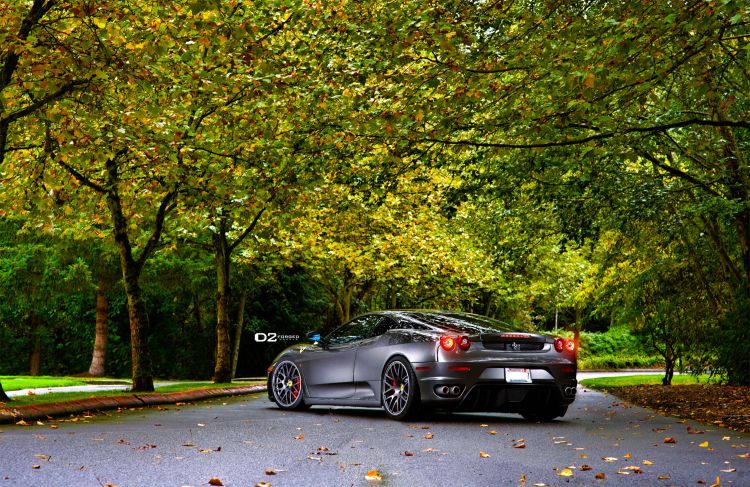 Wallpapers Cars Ferrari Wallpaper N334783