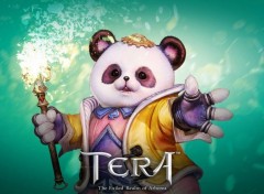  Jeux Vido TERA