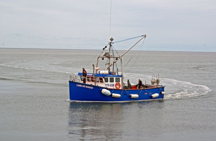 Wallpapers Boats Fishing Boats L'ANSE AU BASQUES